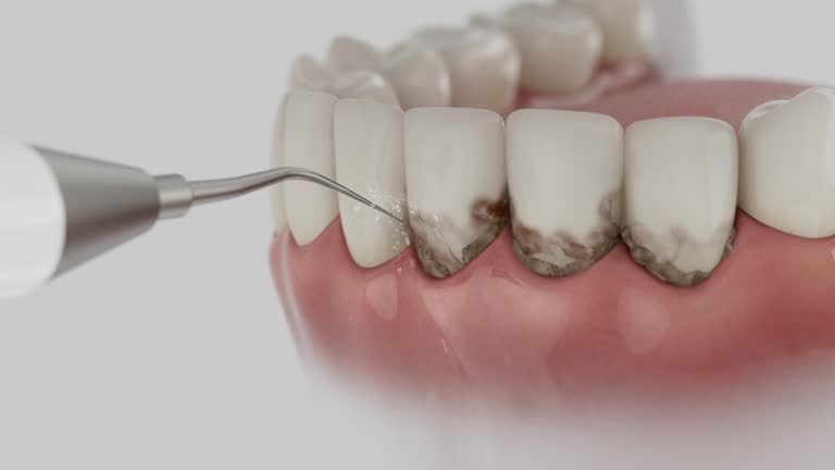 Reliable Dental contractor in Clinton County County, MI by Dentist Open Now